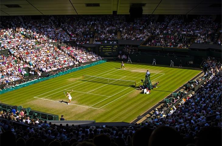 wimbledon 36mm