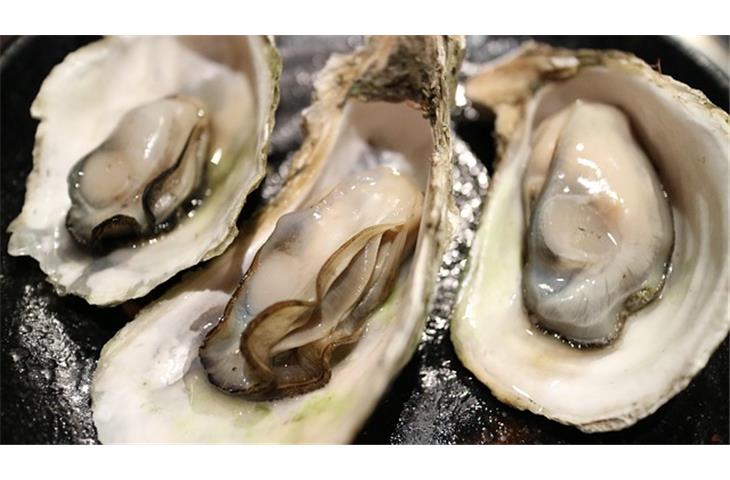 oyster perpetual 41mm 124300