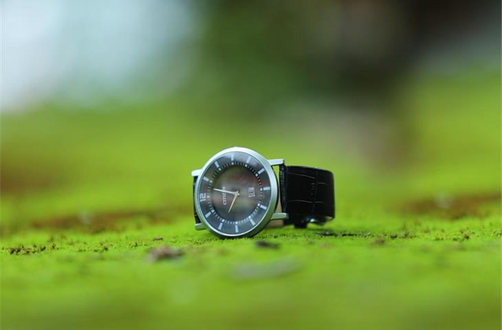citizen full lume